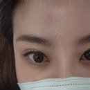 아리솜 이미지