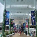 횃불약국 | [왓츠인마이블로그]HAE NI DAY₊˚ ‿ ♡ · · ୨୧‿︵‿︵ 2주차✨