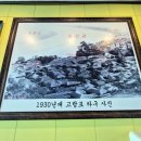 고랑포구 이미지