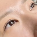 멜팅뷰티 - 고양시 일산서구 고양대로 724-8 | 일산역속눈썹펌 멜팅뷰티 짧은속눈썹펌 추천 후기 가격 예약 할인쿠폰