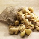 차 향기 예로 스며들다 | 노란 뿌리의 뜨거운 활력, 피부에 스며들다 [생강차]