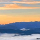 산중살이 / 靑山 손병흥 이미지