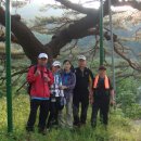 정이품민박 이미지