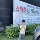 준서농장 이미지