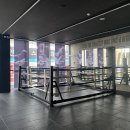 아라체육관 이미지