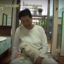 은비농장 Daum카페