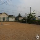 새바라기 이미지