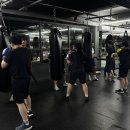 타투 복싱 이미지