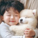 대전하나안과의원 이미지