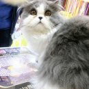 폴리파크 반송점 이미지