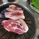 제주흑돈애 이미지