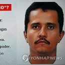 매수농장 이미지