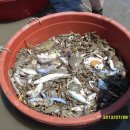 마니산펜션 이미지