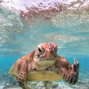 용산견인차량보관소 이미지