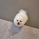 꽃개미용실 이미지