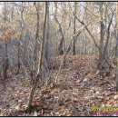 동주산성 이미지