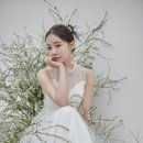 정우컨설팅