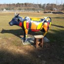 태신목장 이미지