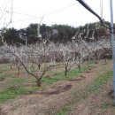 화진농장 이미지