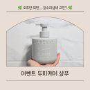 에이징 그라운드 | 여름 정수리냄새샴푸 어쎈트 PDRN 두피케어 후기