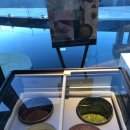 제주 살레 이미지