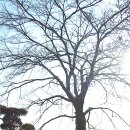 천안고등학교 이미지