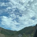 여울애꽃물들인 이미지