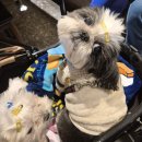 (주)도곡본점 해우리 | 도곡로컬푸드나주호둘레길 가볍게몸만떠나는나주여행