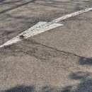 기초 서양화 이미지