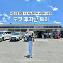 샘물향기 | [도쿄] 후지산 버스 투어 당일치기 로손편의점 코스 내돈내산 200% 만족한 후기+ 9월 클룩 할인코드
