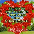 까시 Daum카페