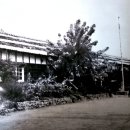 장유초등학교 이미지