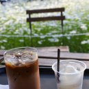 (상하)개화목장 이미지