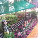 세모네모재능어린이집 | 중화동어린이집 30년의 안정적인 교육과 보육 세모네모재능어린이집