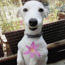 참조은 하우스 | 뮤지컬 <그레이하우스> 후기 정산 ② :최석진