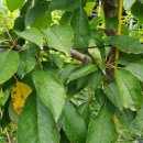 별샘농장 이미지