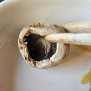 구이포차 우연히 맞은편 | 부산 전포 분위기 좋은 고기 맛집 구이포차 우연히 방문후기