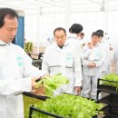 스마트팜