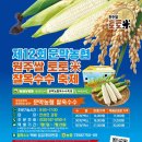 농민문화체육센터 이미지