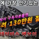 보배펫 이미지