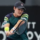 바디스트 이미지