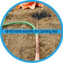 조은인력유료직업소개소 이미지