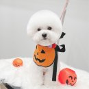 몽트라슈 이미지