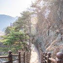향산리 방향 이미지
