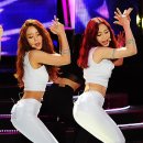 영지 이미지