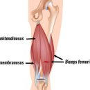 장효길한의원 이미지