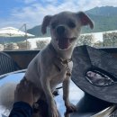 (주)가람푸드