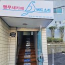 버드소리영도점