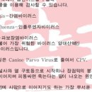 상무종로약국 이미지