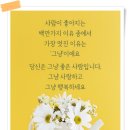 과일세상 이미지